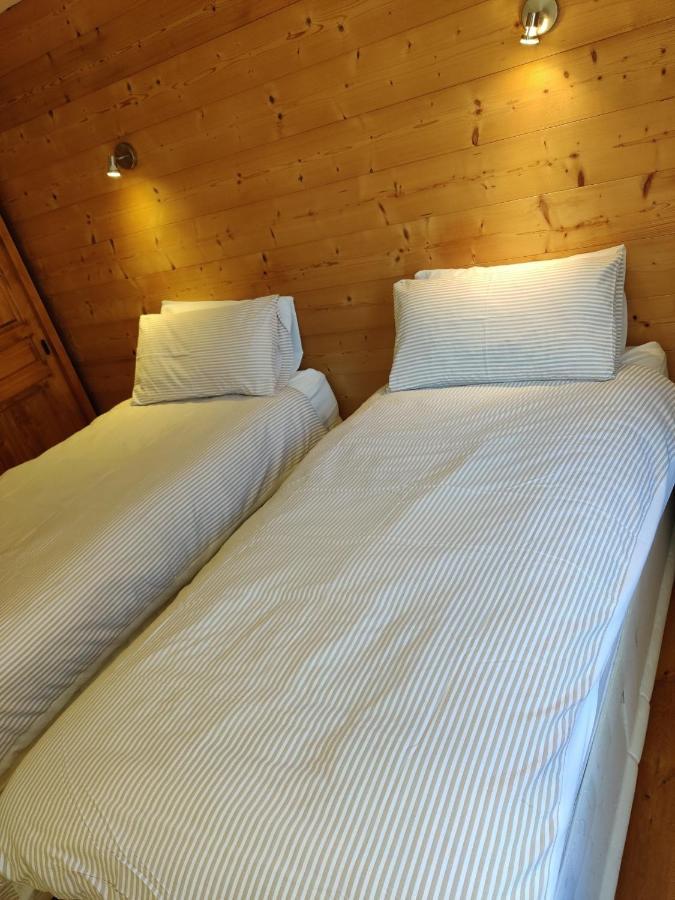 Spacious Ski Chalet In Traditional French Village, Sleeps 8, Four Star With Fibre Broadband Abondance Exterior foto